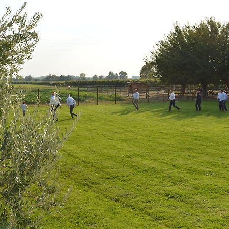 Agriturismo Al Casale Лоніго Екстер'єр фото